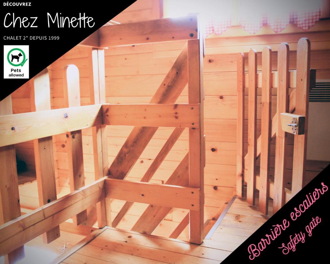 Le "Chalet De Minette" 2 Etoiles La Bresse Εξωτερικό φωτογραφία