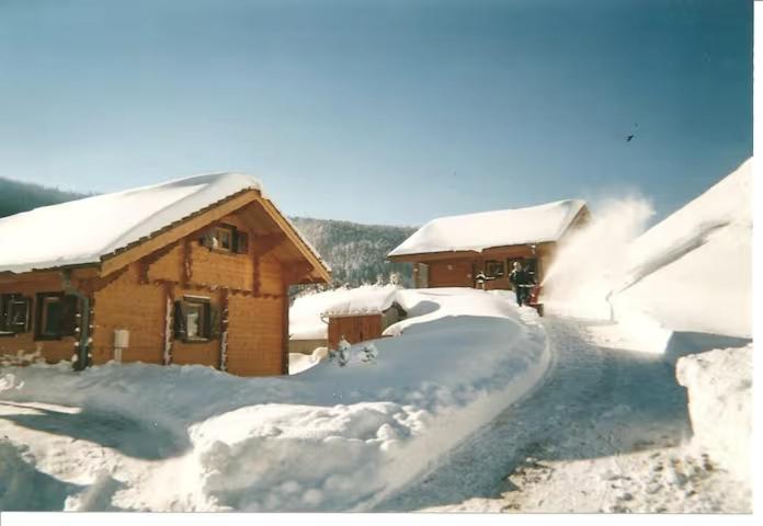 Le "Chalet De Minette" 2 Etoiles La Bresse Εξωτερικό φωτογραφία