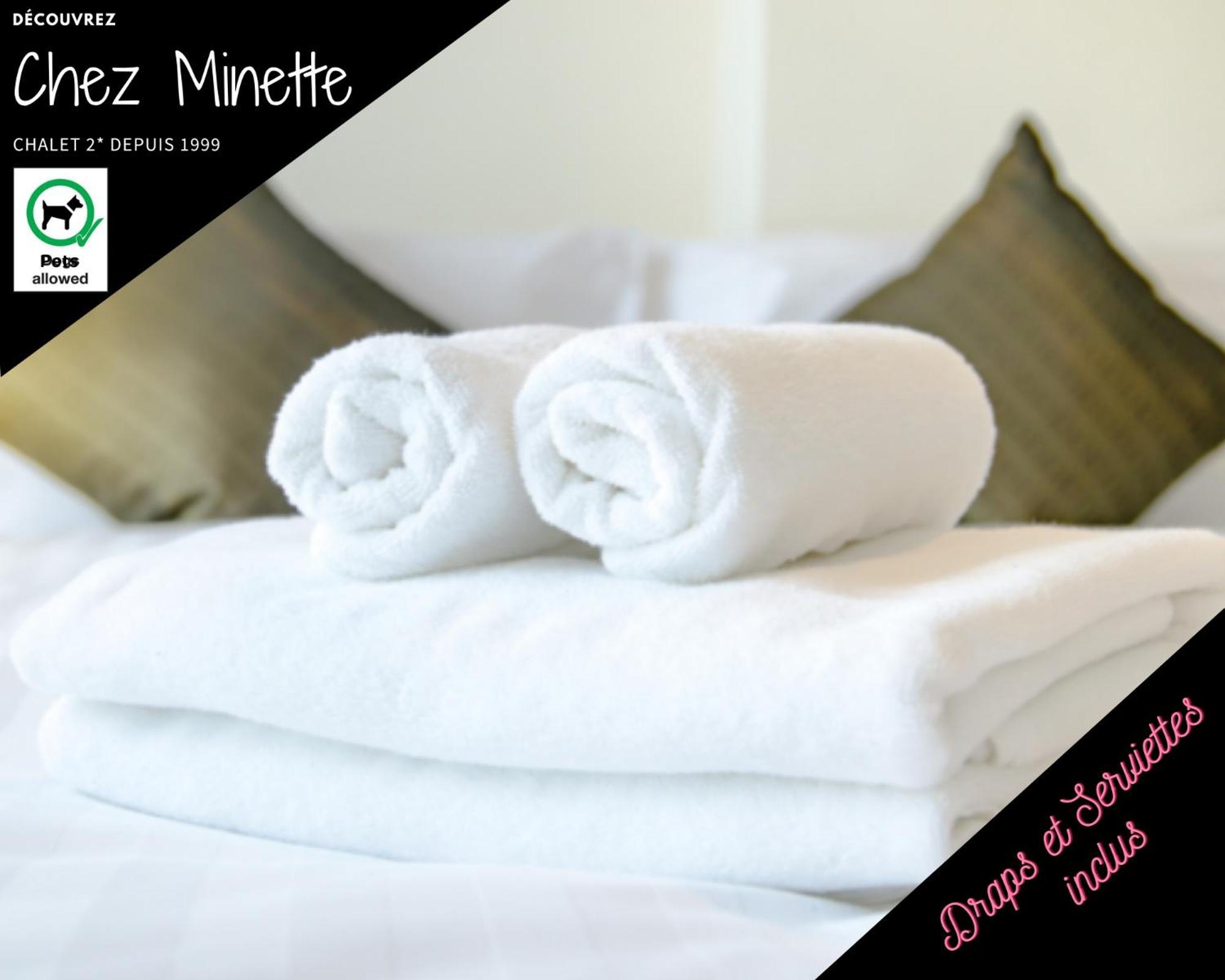 Le "Chalet De Minette" 2 Etoiles La Bresse Εξωτερικό φωτογραφία