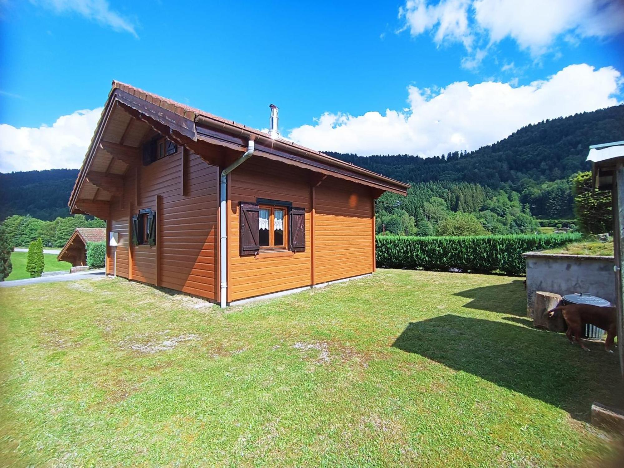 Le "Chalet De Minette" 2 Etoiles La Bresse Εξωτερικό φωτογραφία