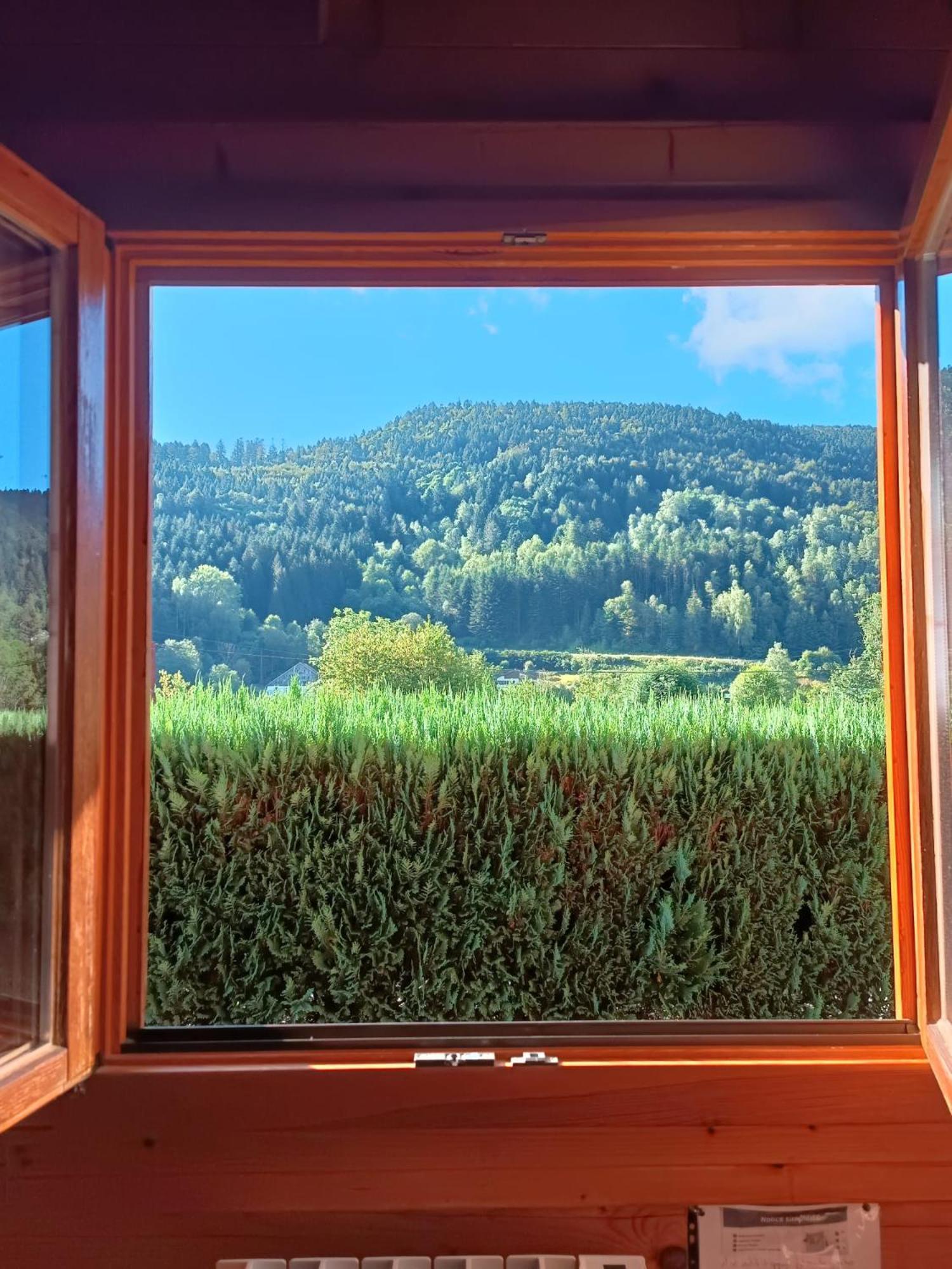 Le "Chalet De Minette" 2 Etoiles La Bresse Εξωτερικό φωτογραφία